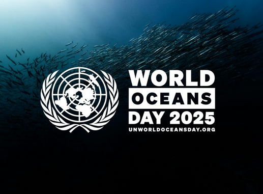 Préservons nos océans !