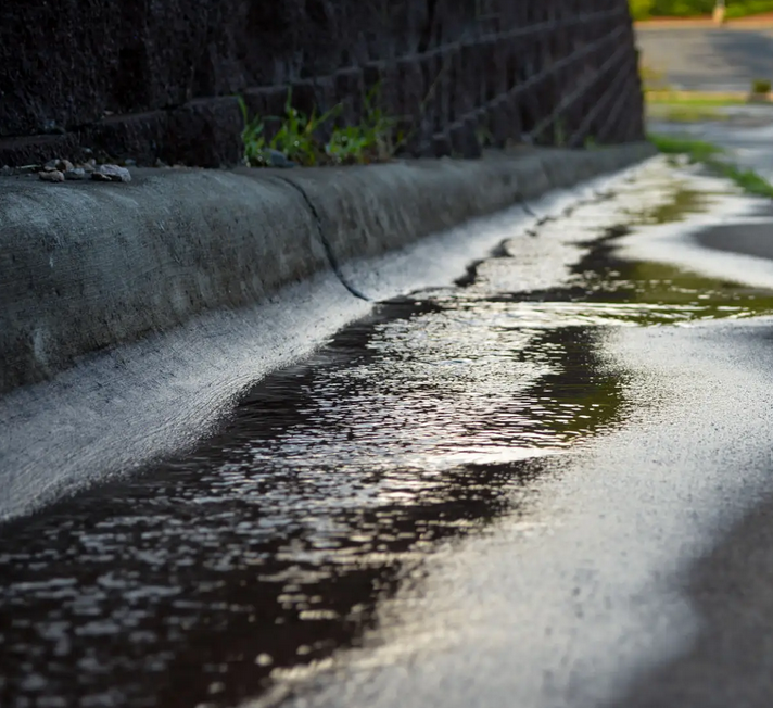 Zones humides – enrichissements 2023